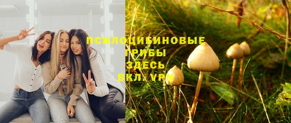 героин Алзамай