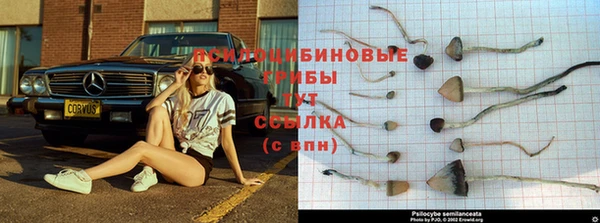 первитин Алексин