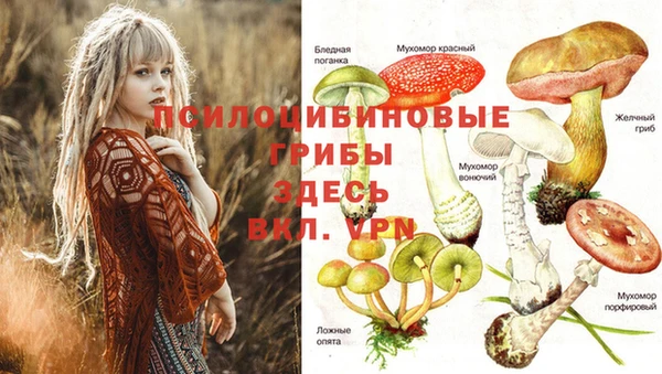 героин Алзамай