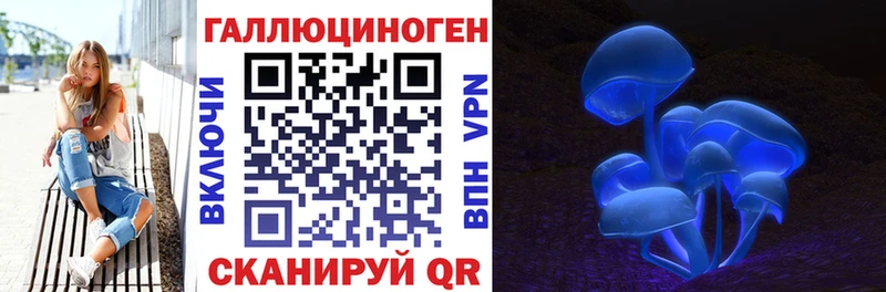 где купить   Талица  Галлюциногенные грибы Psilocybe 